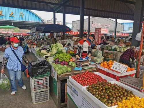 雙峪農副產品批發市場 筑牢疫情防線，守護百姓“菜籃子”安全