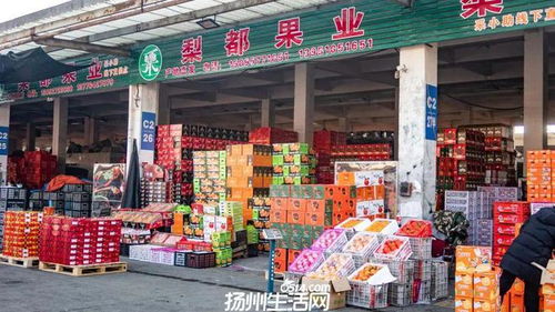 658畝大型商業(yè)地塊亮相，揚州這一區(qū)域展現(xiàn)農(nóng)副產(chǎn)品流通新野心