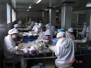 代辦北京大興區6823三類醫療器械銷售許可證 專業、合規、高效服務指南